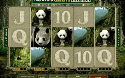 Untamed: Giant Panda – A Gateway to Exciting Wins!